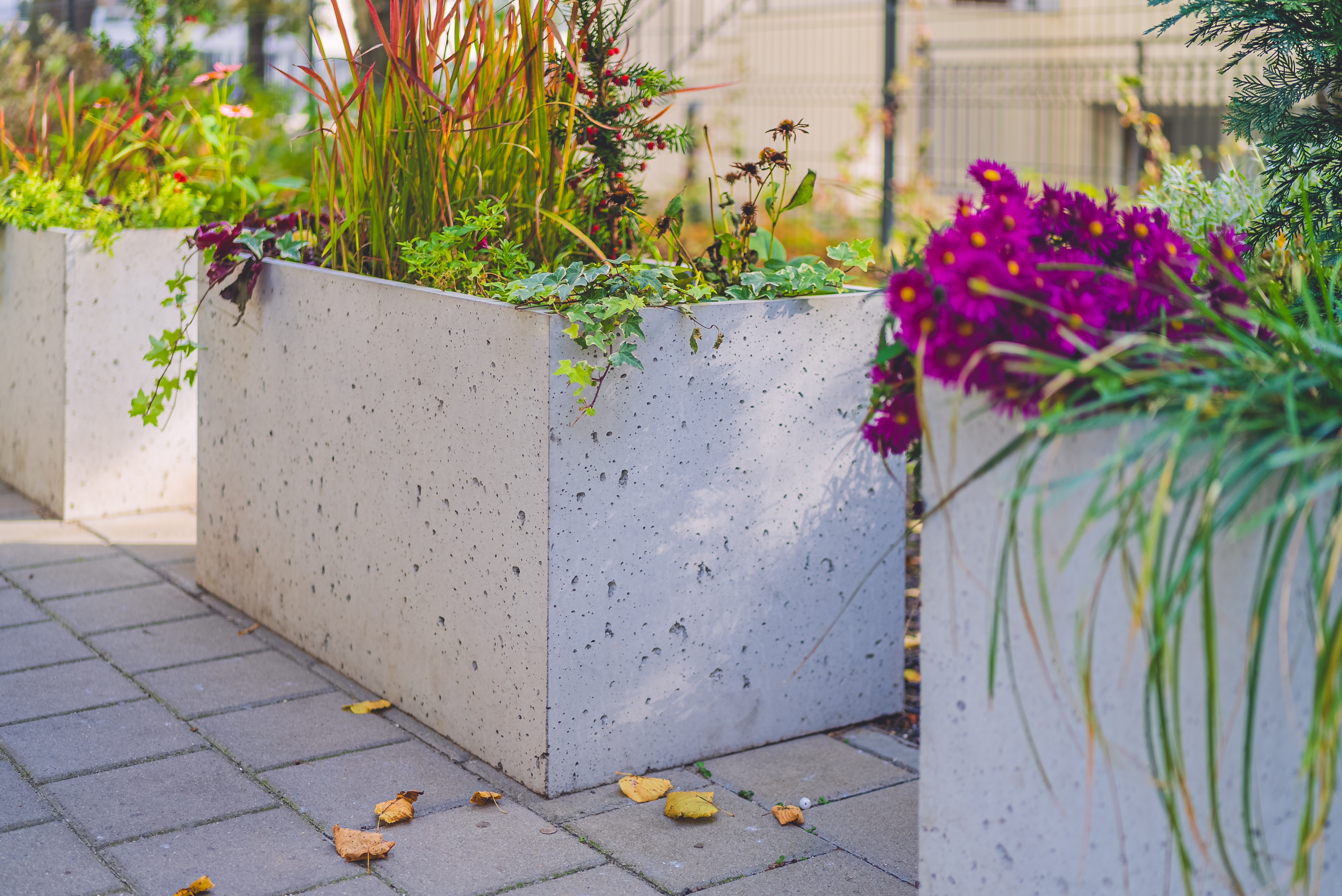 Donice Zielona Góra + Poznań (duże) (9 of 53)